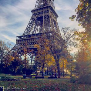 Picture of the Eiffel Tower in Paris. The picture features just a part of the Tower and is surrounded by a park with trees and grass. The picture was taken in automn so the leaves are all yellow and falling on the floor.